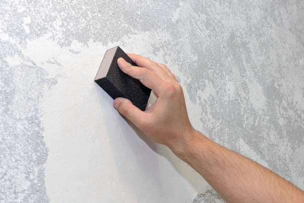 Professional Mold Removal in Four Square Mile, CO