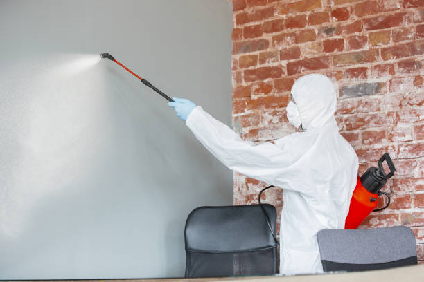 Best Residential Mold Inspection & Testing  in Four Square Mile, CO