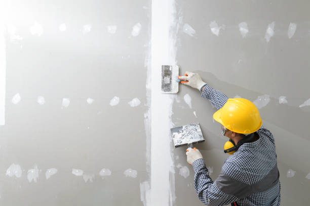 Dehumidification Services in Four Square Mile, CO