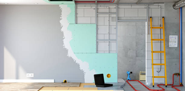 Best Mold-Related Health Consultation  in Four Square Mile, CO