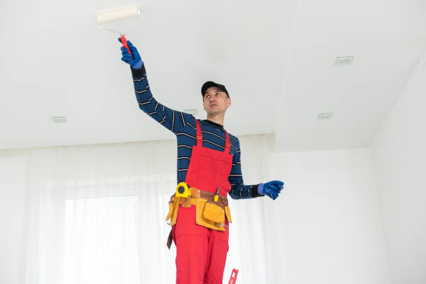 Best Emergency Mold Remediation  in Four Square Mile, CO