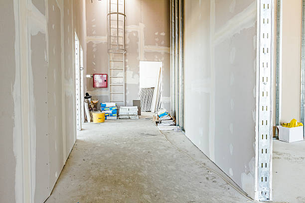 Best Mold Damage Restoration  in Four Square Mile, CO